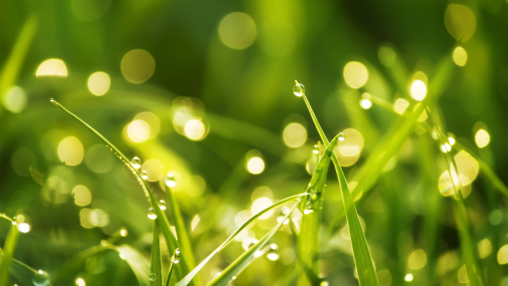 biocarburant ecovadis et écologie - abac location climatisation et chauffage