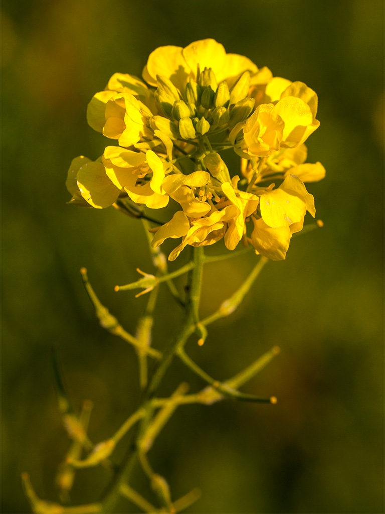 engagements ecologiques ECOVADIS - location climatisation